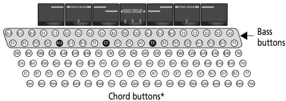 Bass buttons Chord buttons*