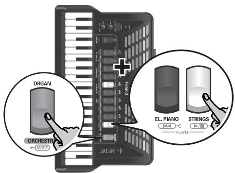 ORGAN ORCHESTR MODE EL. PIANO STRIINGS PLAYER