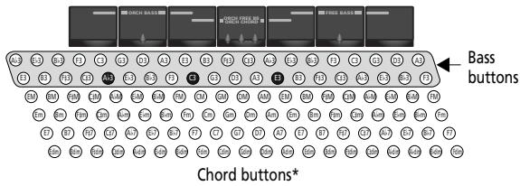 ROLAND FR-3XB WH - Bass and chord section - 2