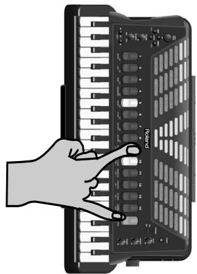 ROLAND FR-7 - Bass Link - 2