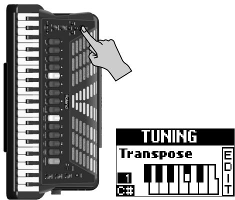 ROLAND FR-7 - ■Transpose - 2