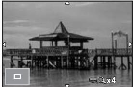 PENTAX Q - Setting thePlayback Display Method - 3