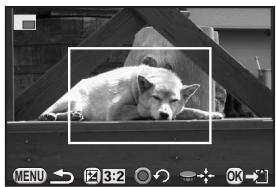 PENTAX Q - Cropping Out Part of the Image (Cropping) - 2