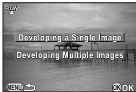 PENTAX Q - Developing One RAW Image - 1