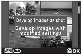 PENTAX Q - Developing Multiple RAW Images - 1