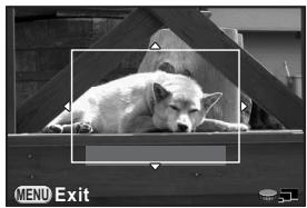 PENTAX Q - Selecting the Desired Focusing Area - 1