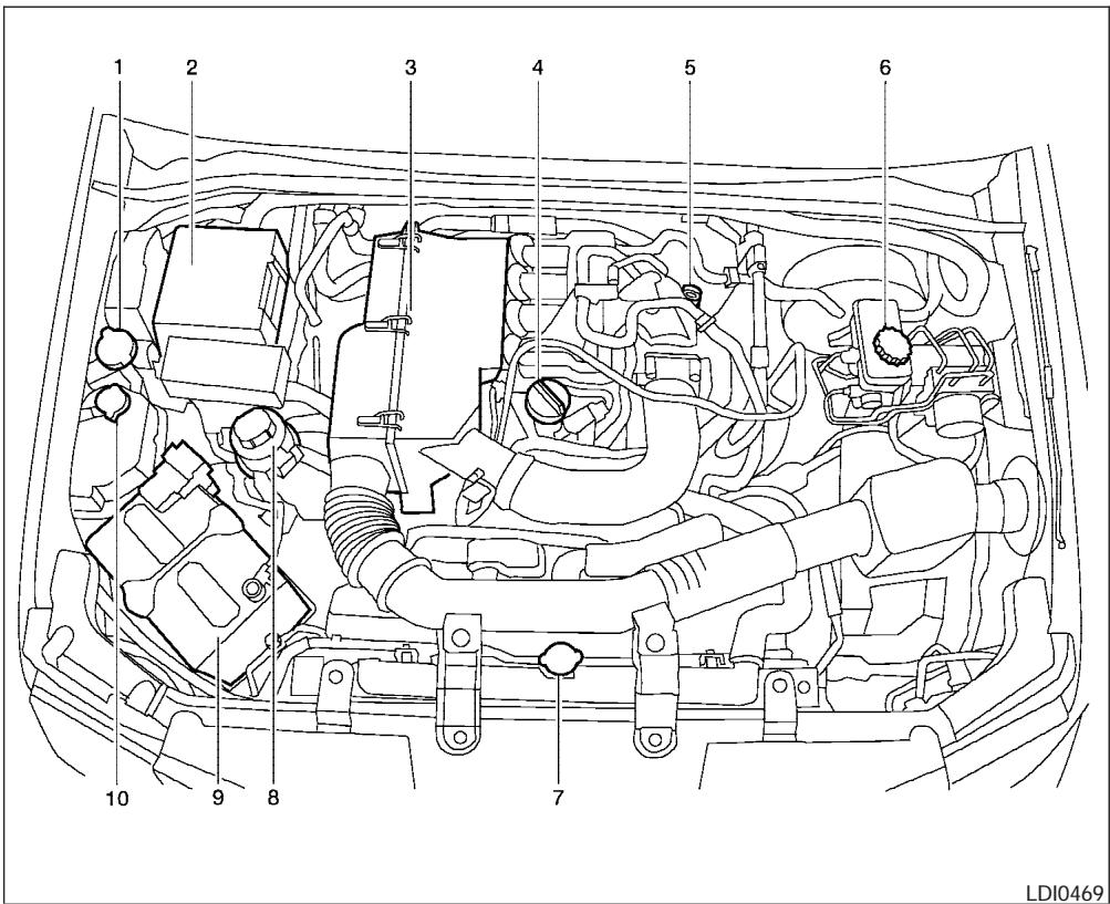 NISSAN FRONTIER 2005 - ENGINE COMPARTMENT CHECK LOCATIONS - 1