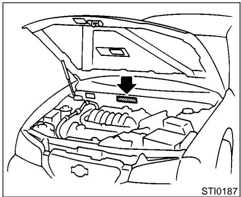 NISSAN MAXIMA 2001 - VEHICLE IDENTIFICATION - 2