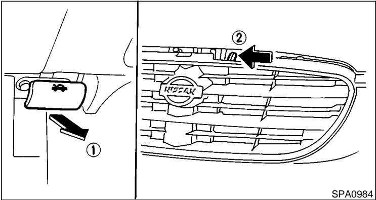 NISSAN MAXIMA 2001 - HOOD - 1