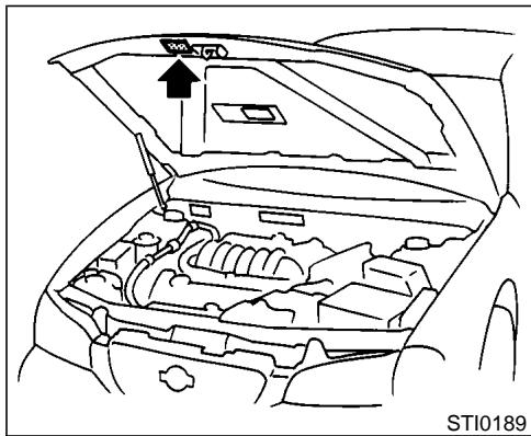 NISSAN MAXIMA 2001 - TIRE PLACARD - 1