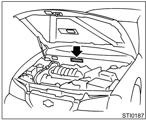 NISSAN MAXIMA 2003 - VEHICLE IDENTIFICATION - 2