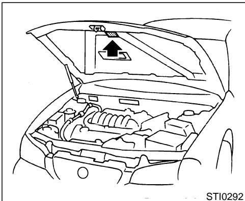 NISSAN MAXIMA 2003 - VEHICLE IDENTIFICATION - 7