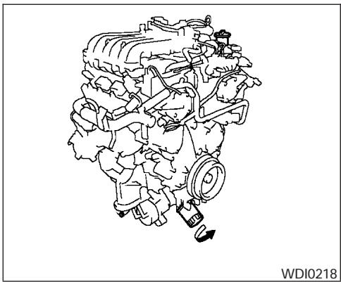 NISSAN MAXIMA 2004 - CAUTION - 1