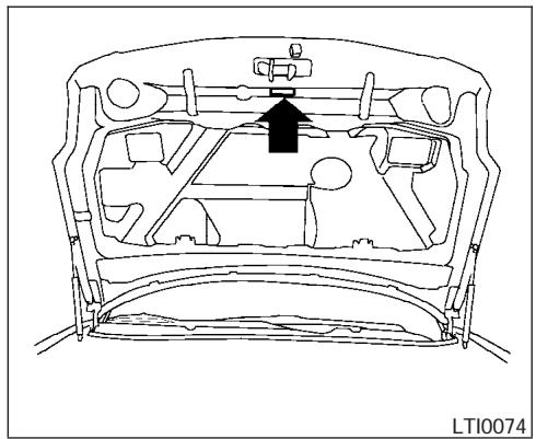 NISSAN MAXIMA 2004 - VEHICLE IDENTIFICATION NUMBER (chassis number) - 5