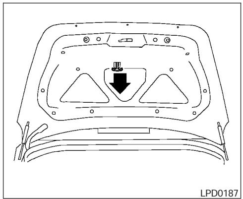 NISSAN MAXIMA 2006 - SECONDARY TRUNK LID RELEASE (4-seat model only) - 1