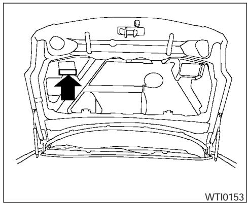 NISSAN MAXIMA 2006 - TIRE PLACARD - 1