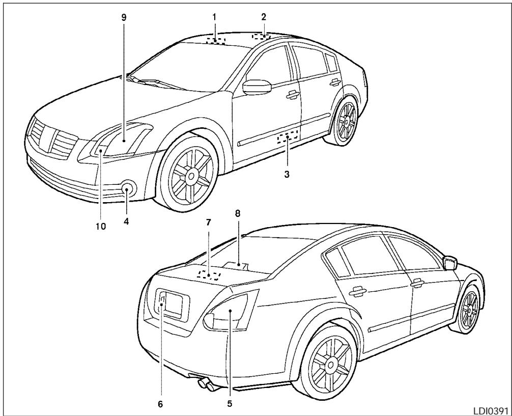 NISSAN MAXIMA 2006 - Replacing the halogen headlight bulb - 1