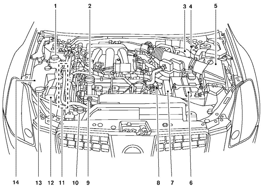 NISSAN MAXIMA 2006 - ENGINE COMPARTMENT CHECK LOCATIONS - 1