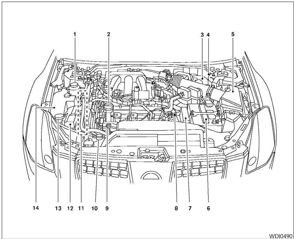 NISSAN MAXIMA 2006 - ENGINE COMPARTMENT CHECK LOCATIONS - 1