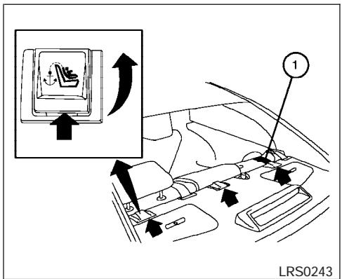 NISSAN MAXIMA 2006 - WARNING - 1