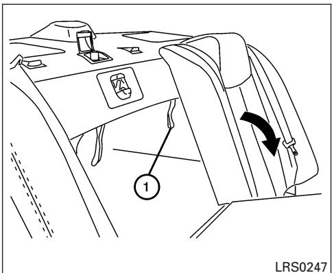 NISSAN MAXIMA 2007 - WARNING - 1