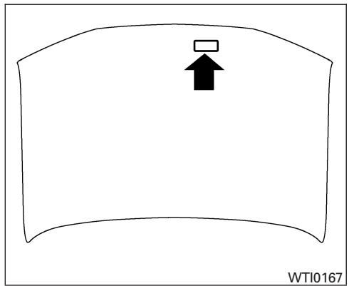 NISSAN MAXIMA 2007 - VEHICLE IDENTIFICATION NUMBER (chassis number) - 5