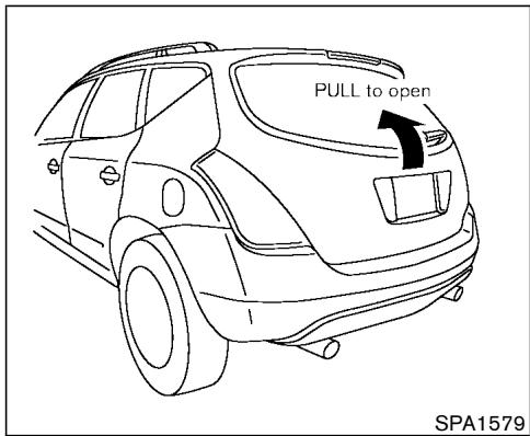 NISSAN MURANO 2003 - BACK DOOR - 1