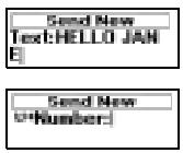 SONY ERICSSON T28S - Enable the Phone to Send SMS - 1
