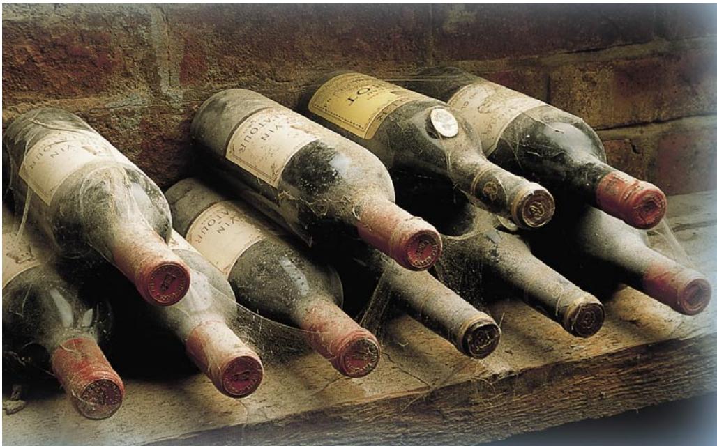 LIEBHERR WK 4676 - The right environment for your wines. - 1