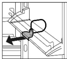 LIEBHERR CBNPGW 3956 PREMIUM BIOFRESH NOFROST - Removing the bottle holder - 1