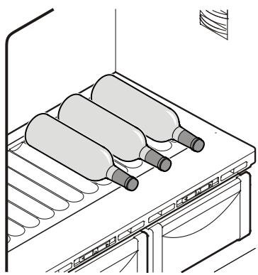 LIEBHERR ECBN 5066 G-1 & ECBN 5066 PREMIUMPLUS BIOFRESH NOFROST - Bottle shelf - 2