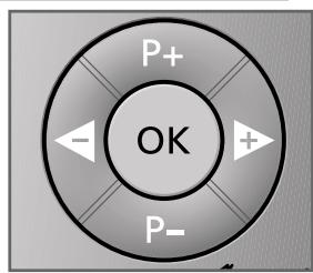 GRUNDIG F.A. PLANAVISION PW 110-8110/9 DOLBY - Dialogue display - 7