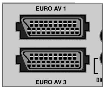 GRUNDIG F.A. PLANAVISION PW 110-8110/9 DOLBY - Connecting AV appliances - 1