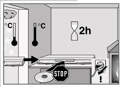 GRUNDIG GDP 1100/1 - Disc formats - 2