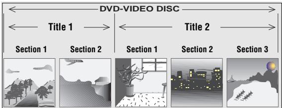 GRUNDIG GDV 100 D (VERS.2) - What are DVD-Video or Video-CDs - 1