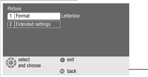 GRUNDIG LIVANCE GDP 3200 - Selecting the picture format for your television - 1