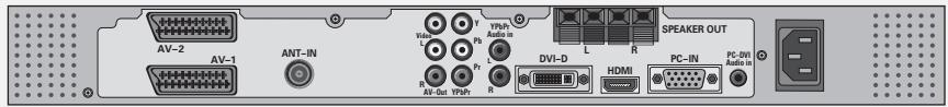 GRUNDIG XEPHIA 42 PXW 110-6616 REF - Connections on the television - 2