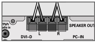 GRUNDIG XEPHIA 42 PXW 110-6721 DOLBY - Connecting the loudspeakers - 2
