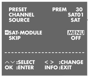 GRUNDIG XERIA GV 6263 HIFI - Setting the channel position for a decoder - 2