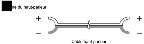 DENON AVR-1906 - Indications des câbles - 5