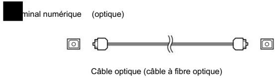 DENON AVR-1906 - Indications des câbles - 4