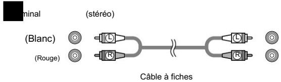 DENON AVR-1906 - Indications des câbles - 1