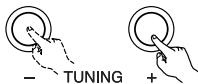 DENON DHT-M330DV - To check the currently playing program source, etc. - 3