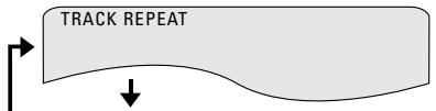 DENON ADV-1000 - [1] Playing Repeatedly (Repeat Playback) - 7