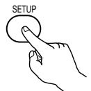DENON ADV-1000 - At the SYSTEM SETUP MENU, press the SETUP button. - 1