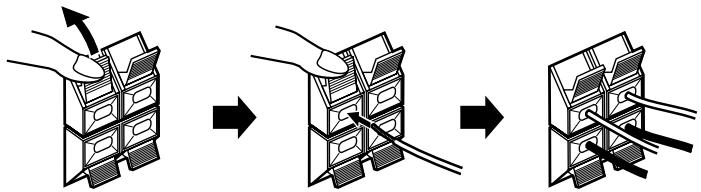 DENON ADV-1000 - Speaker system connections - 1