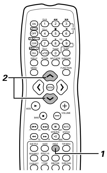 DENON ADV-1000 - [3] Switching the Angle (Multiple Angle Function) - 1