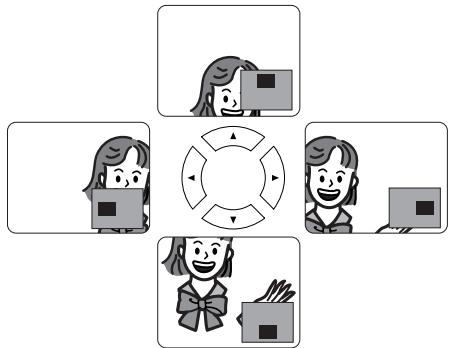 DENON DVM-1815 - Dvd-v - 6