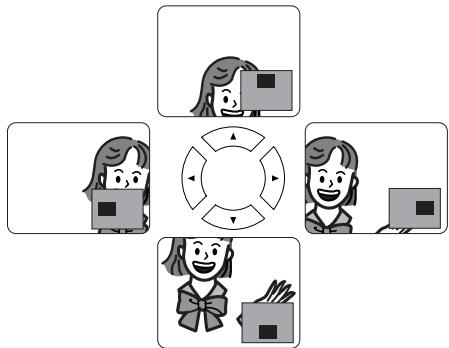 DENON DVM-1815 - Zoom - 5