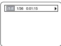 DENON DVM-1815 - On-Screen Information - 2